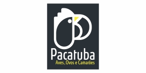 PACATUBA